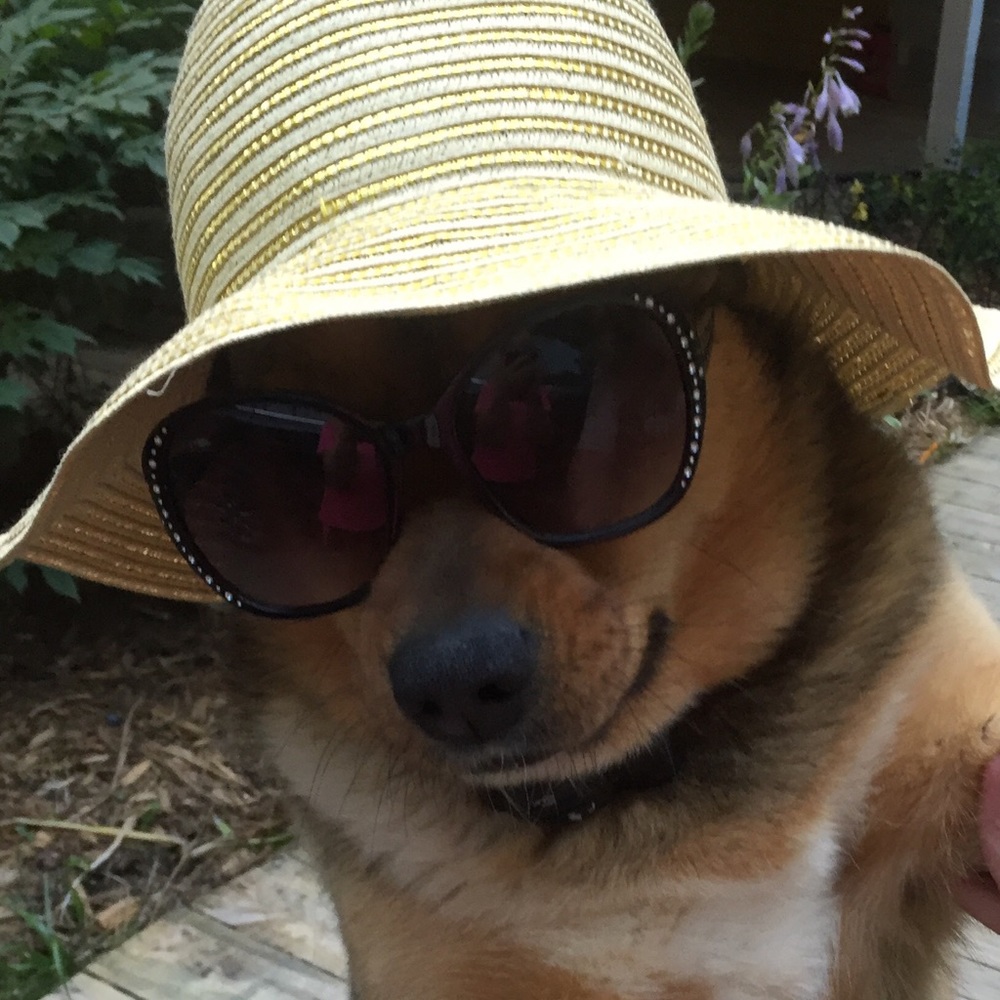 Meet your Posher, Nancy